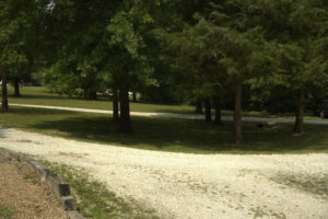 22-rayette-ct-21