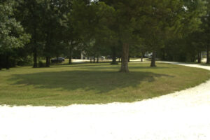 22-rayette-ct-27