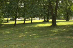 22-rayette-ct-28